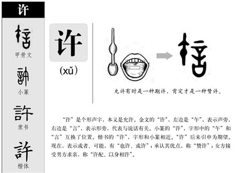 許 五行|许字五行属什么